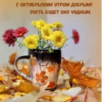 � ������ ����� �������