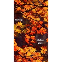 Доброе утро, октябрь золотой