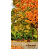 ���������� ���� �������