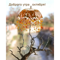 Волшебства в это утро октября