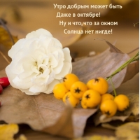 Утро добрым может быть Даже в октябре!