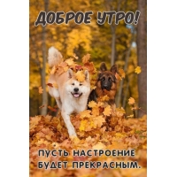 Доброго утра и прекрасного настроения