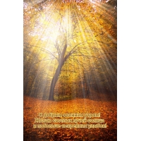 Желаю светлых лучей солнца и побольше искренних улыбок!