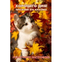 Проживи красиво день