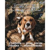 Суббота — день, когда улыбка — обязательна.