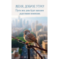 ����� ���� ���� ����� �������� ���������� ���������.