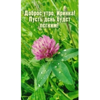 Пусть день будет лёгким!