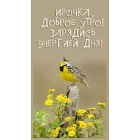 �������� �������� ���!