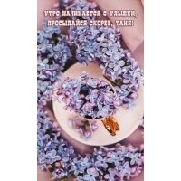 ���� ���������� � ������, ���������� ������, ����!