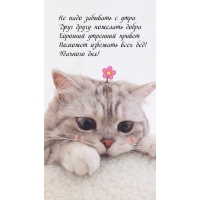 Друг другу пожелать добра! Хороший утренний привет