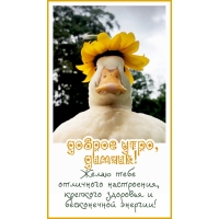 ����� ���� ��������� ����������, �������� ��������