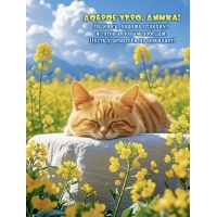 Надеюсь, хорошо отдохнул и готов к новым победам.