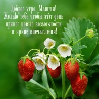 ����� ���� ����� ���� ���� ������ ����� �����������