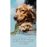 Пусть утро принесет радость!