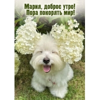 Пора покорять мир!