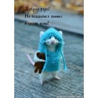 Доброе утро! Не поддаёмся панике и сидим дома!