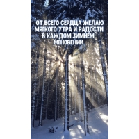 Желаю тебе мягкого утра и радости