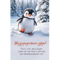 ����� ���� ���� ����� �������, ��� ������������� ����.