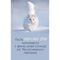 ����� �������� ���� ���������� � ����� ����� ������