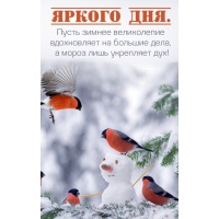 ����� ������ ����������� ����������� �� ������� ����