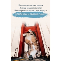 ����� ������� �������� �������