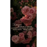 �� �������� ���������� ��������� � ����� ������ �������