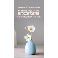 Не обращайте внимания на мелкие недостатки; помните: