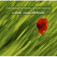 Счастлив не тот, у кого много, а тот, кому хватает.