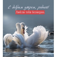 � ������ �����, ������! ����� ���� ��������.