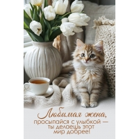 ������� ����, ���������� � �������!