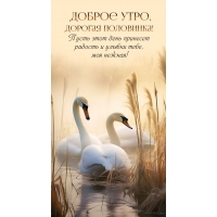 ������ ����, ������� ���������!