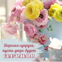 ������� �������, ����� ���� ����� �������!