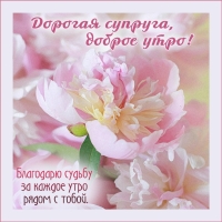 ������� �������, ������ ����! 