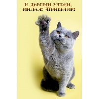 С добрым утром, милая! Приветик!