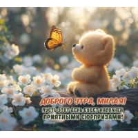 ������� ����, �����!