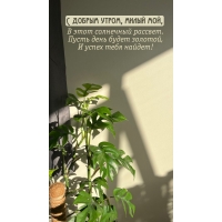 � ������ �����, ����� ���!