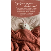 � ������ �����, ����� ���! ������������� �����