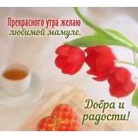 ����������� ���� ����� ������� ������. ����� � �������!