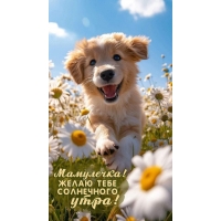 ���������! ����� ���� ���������� ����!