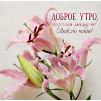 ������ ����, ������� ������! ����� ����!