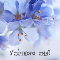 Удачного дня!