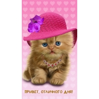 ������, ��������� ���!