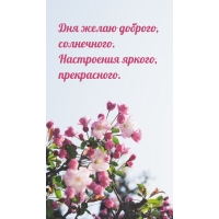 Дня желаю доброго, солнечного.