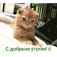 � ������ ����� :)